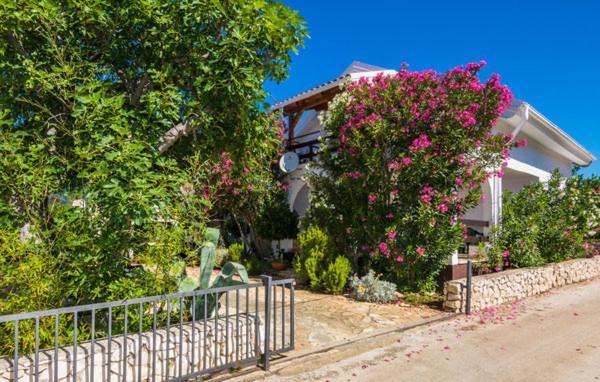 Apartment "Marija" - Otok Vir Exteriör bild