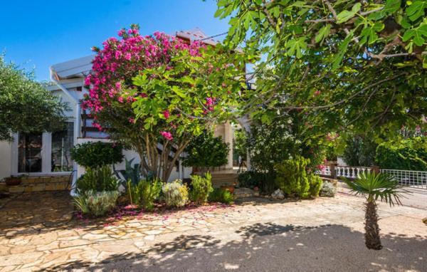 Apartment "Marija" - Otok Vir Exteriör bild