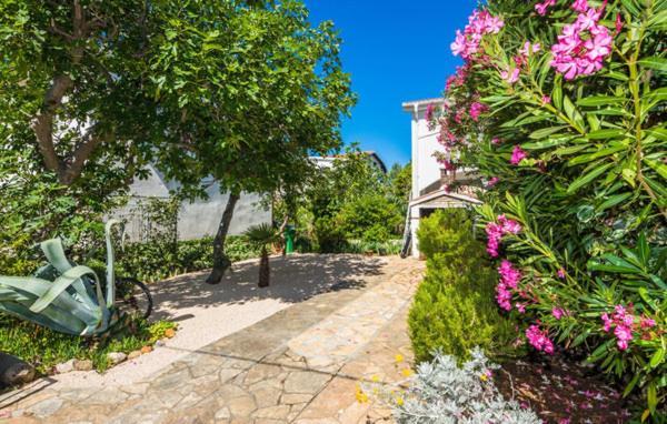 Apartment "Marija" - Otok Vir Exteriör bild